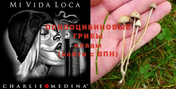 гашик Волосово